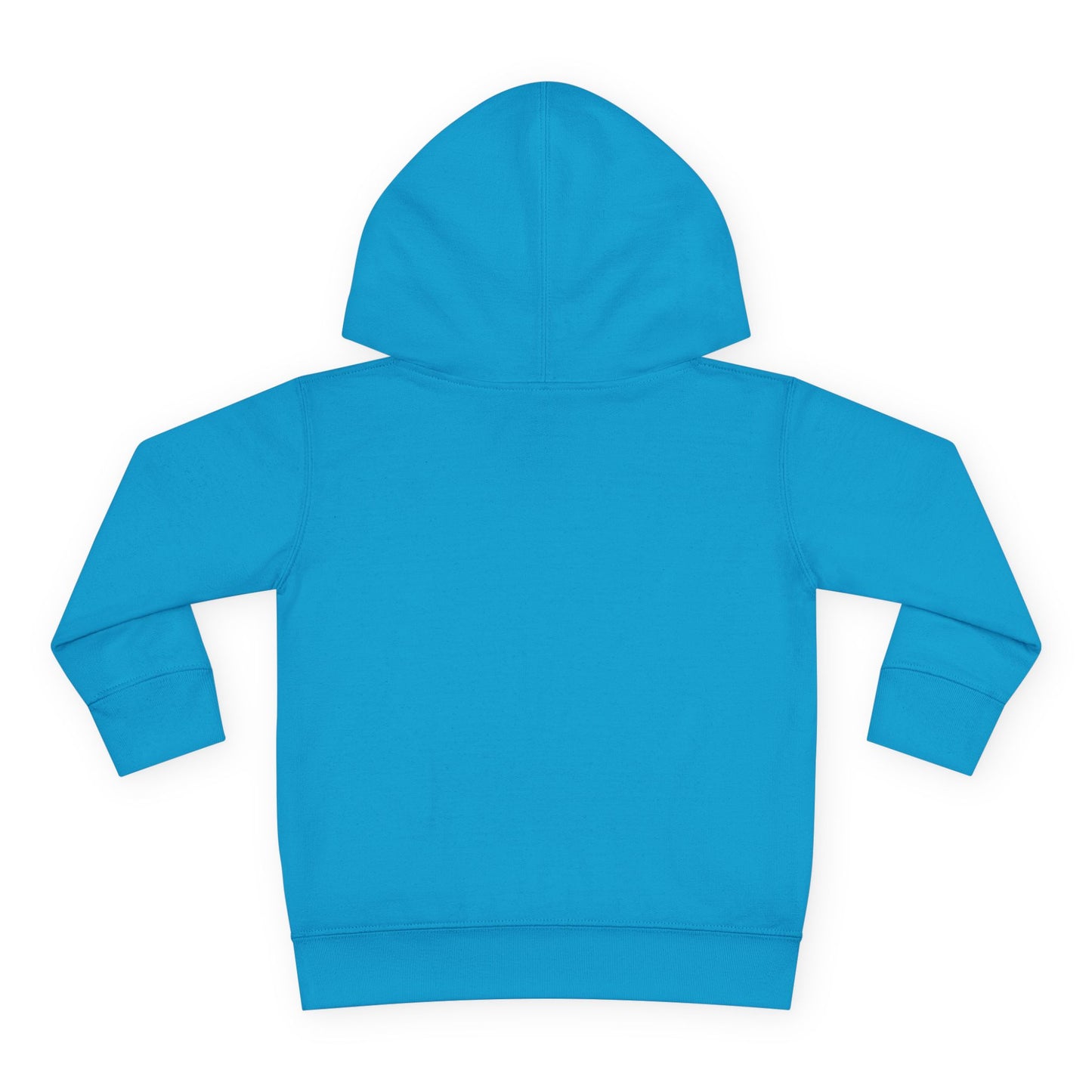 Native Harvest Canoe - Toddler Pullover Fleece Hoodie